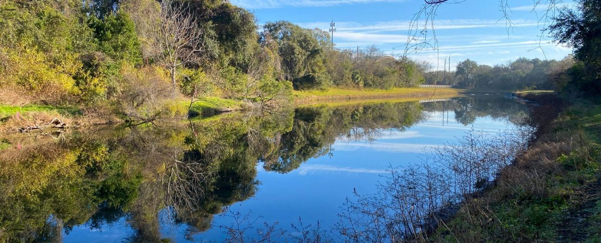 natural bank view of Hogans Creek in Jacksonville, FL